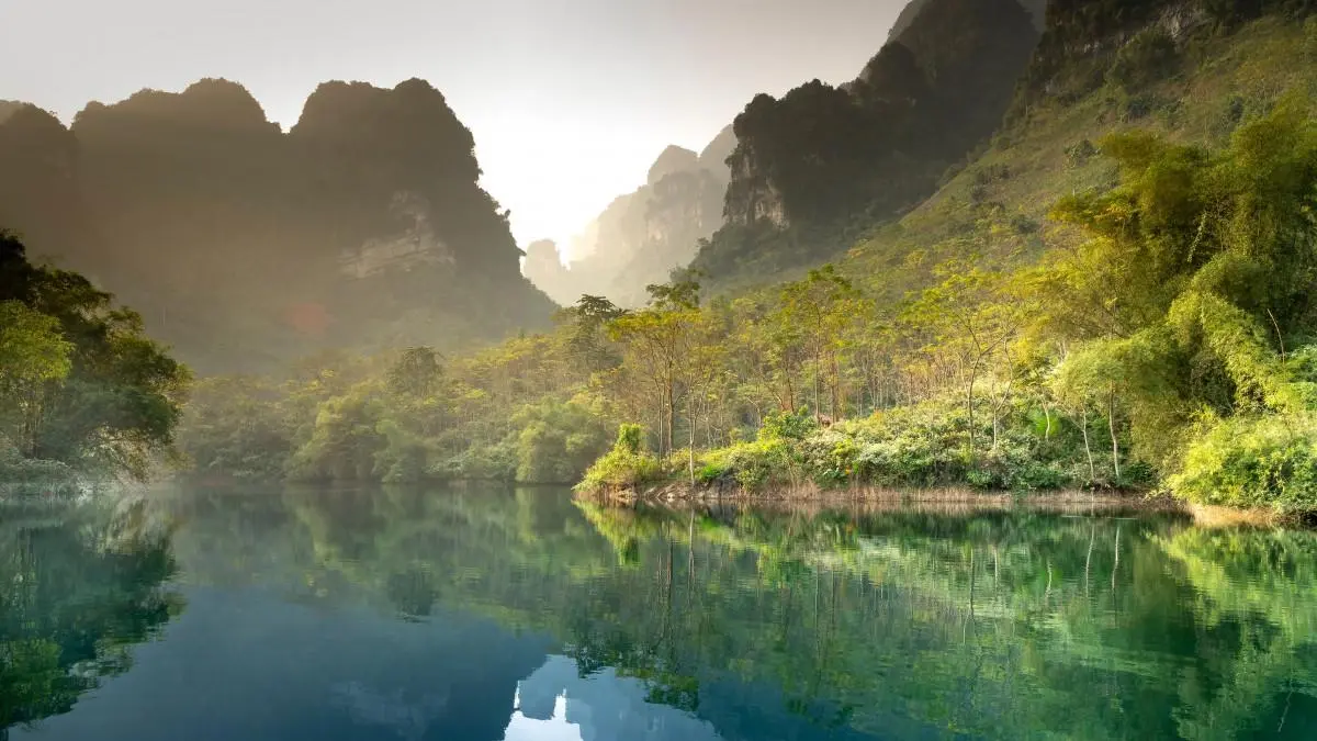 高质量高端